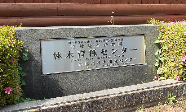 国立研究開発法人林木育種センター
